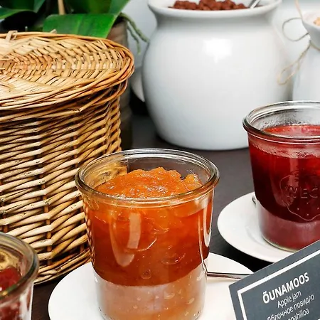 Hotel Hestia Ilmarine