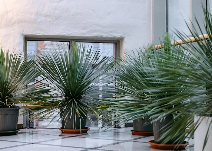 Hestia Ilmarine Hotel